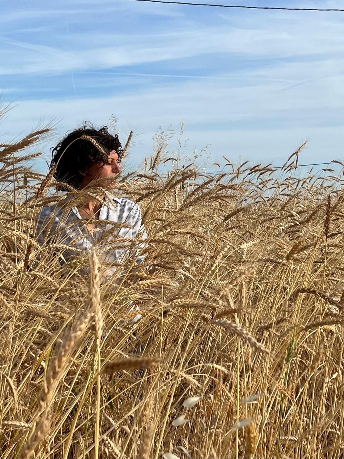 Nel campo di grano maturo sotto il cielo d’estate