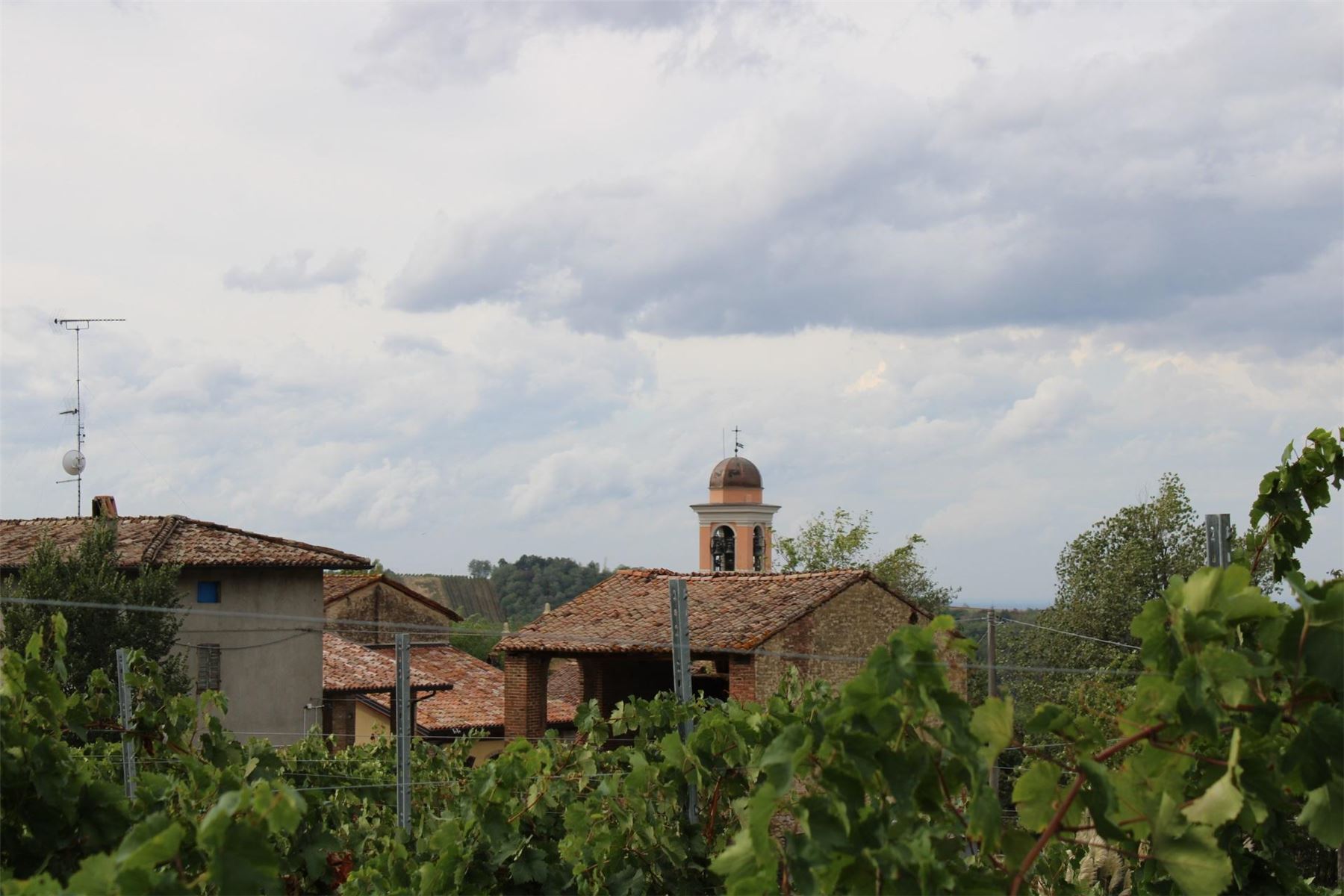 Le case del borgo e il campanile oltre i filari