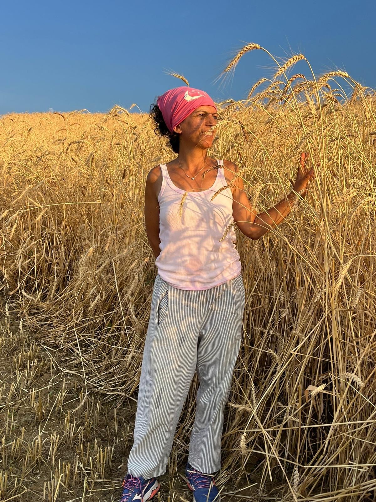 Nel campo di grano maturo