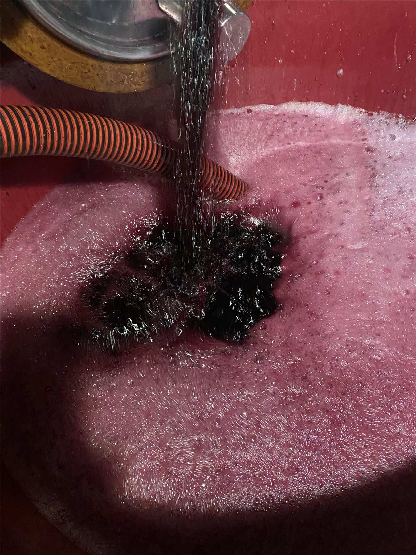 Il mosto rosso versato nel tino