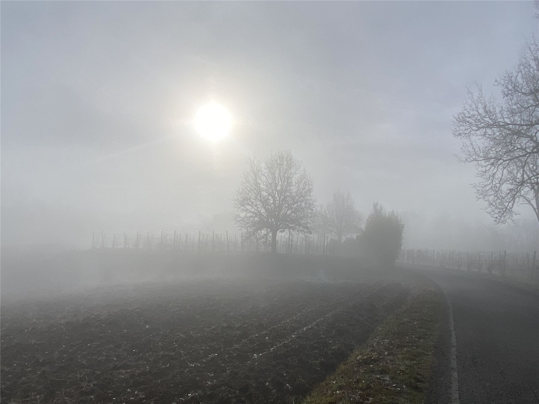 Il sole tra la nebbia sui campi d’inverno