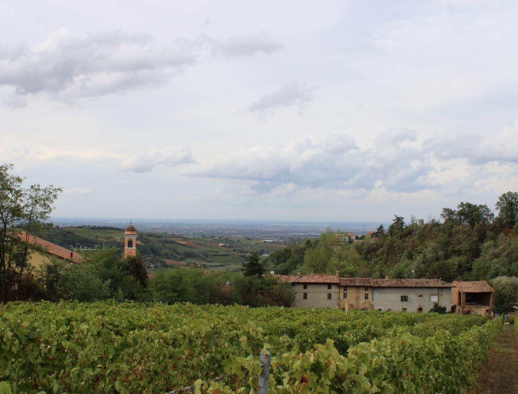 Panorama dei vigneti di Magnano verso la pianura