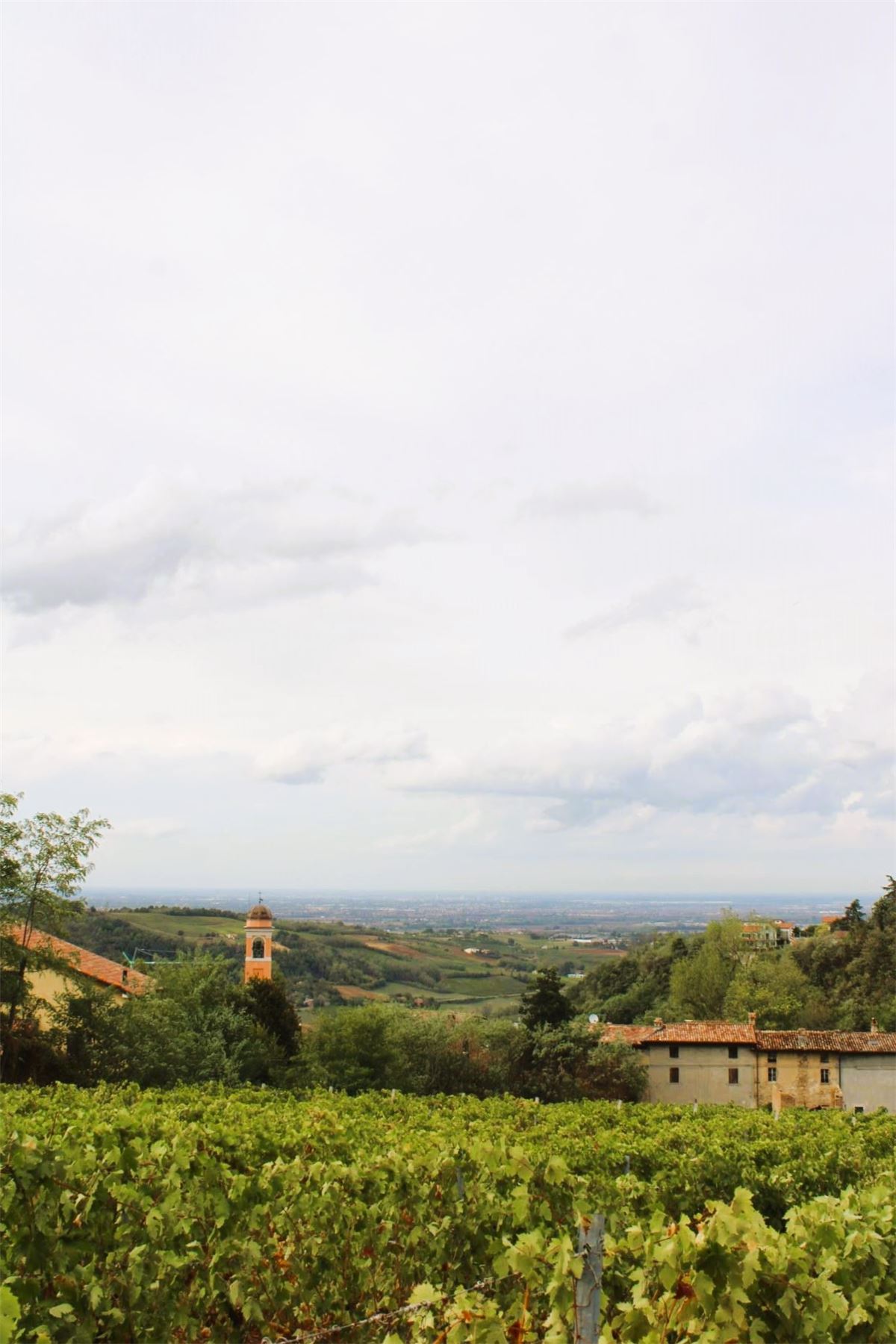 I filari di Magnano con il campanile, le case del borgo e la pianura sullo sfondo
