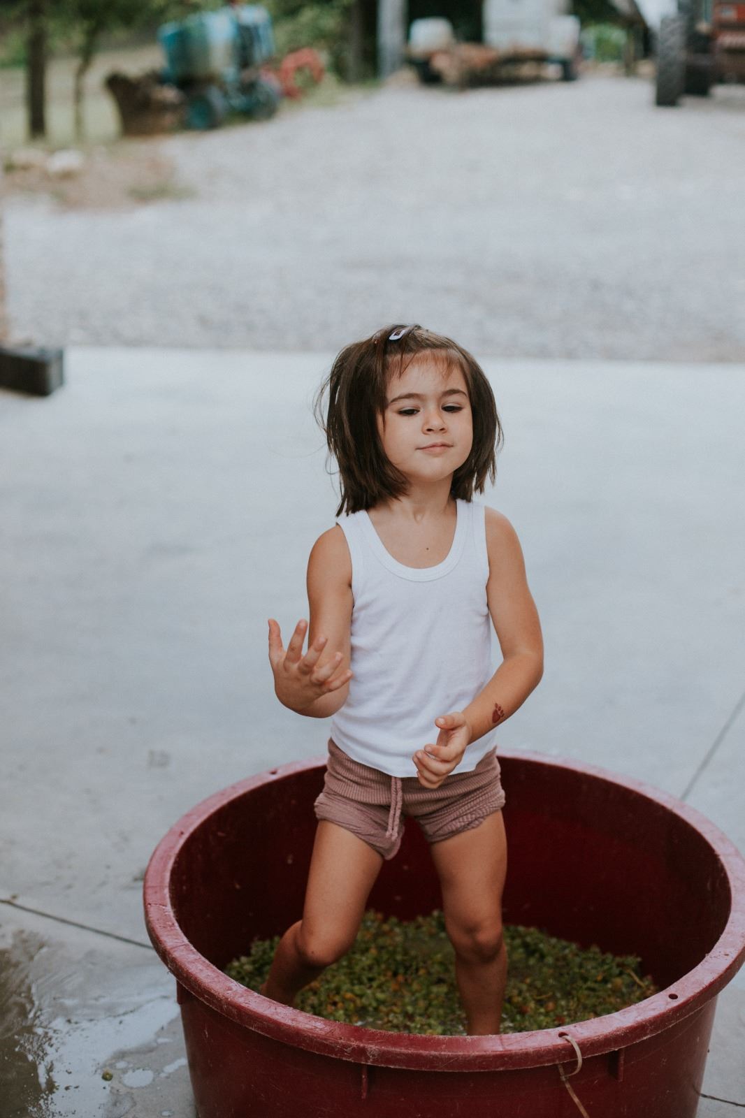 Una bambina pigia l’uva a piedi nudi nel tino